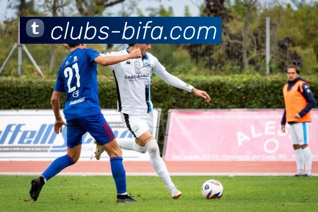 必发官网平台生态图